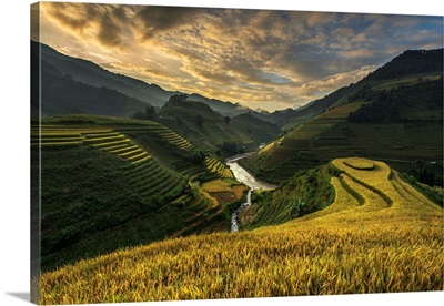 Rice Terrace (Vietnam)