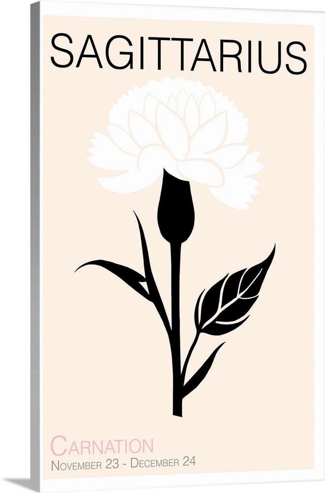 Sagittarius Carnation