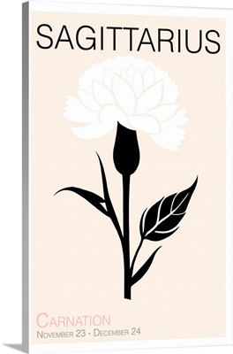 Sagittarius Carnation