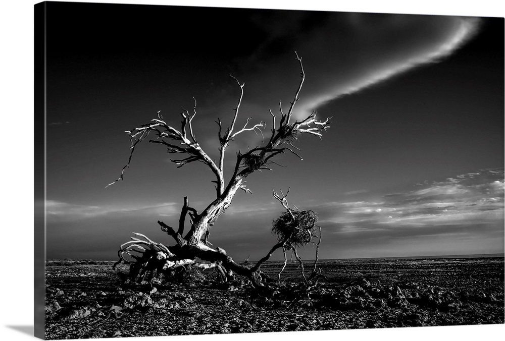 Salton Sea Sculpture