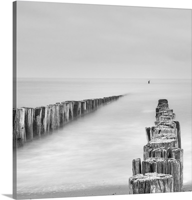 Sea Watcher