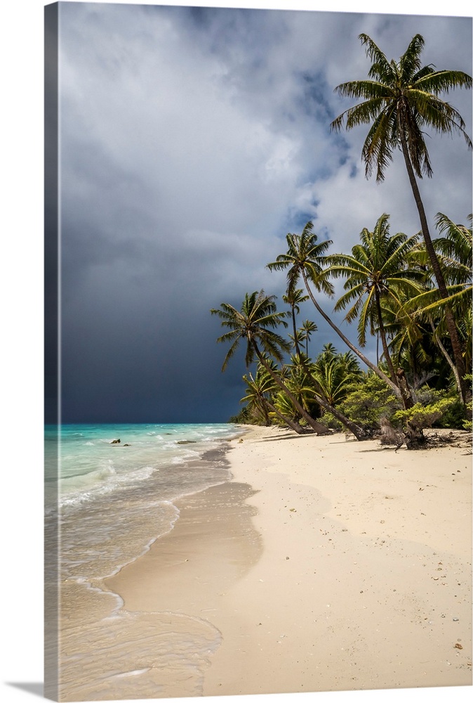 See The Storm Coming