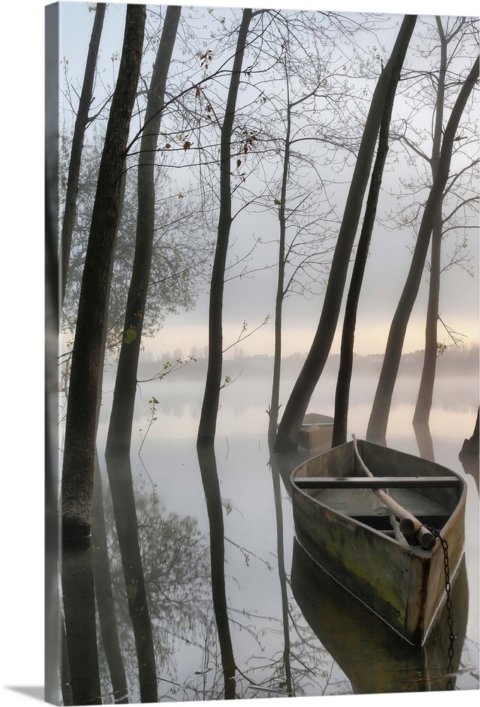 Two boats and several trees growing in the shallow water of Pateira de Fermentelos, Portugal.
