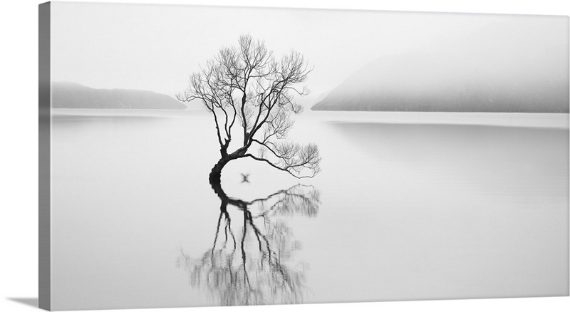 Serenity | Great Big Canvas