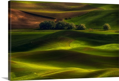 Spring In The Palouse
