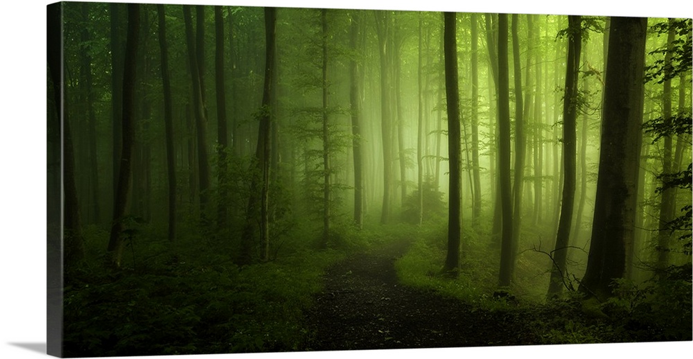 A forest glowing with verdant green light,