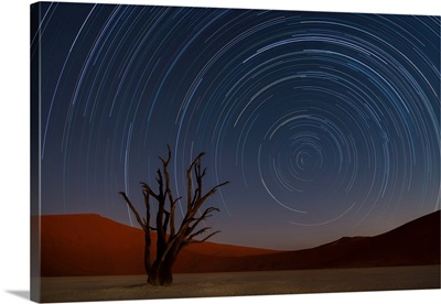 Star Trails Of Namibia