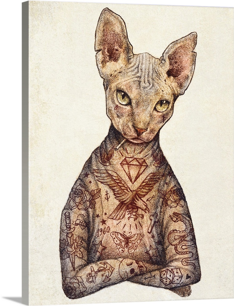 Stylish Tattoo Cat