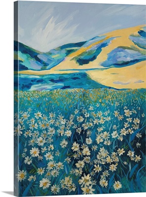 Summer Flowers