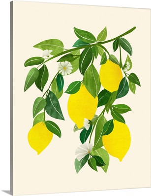 Sunny Lemons