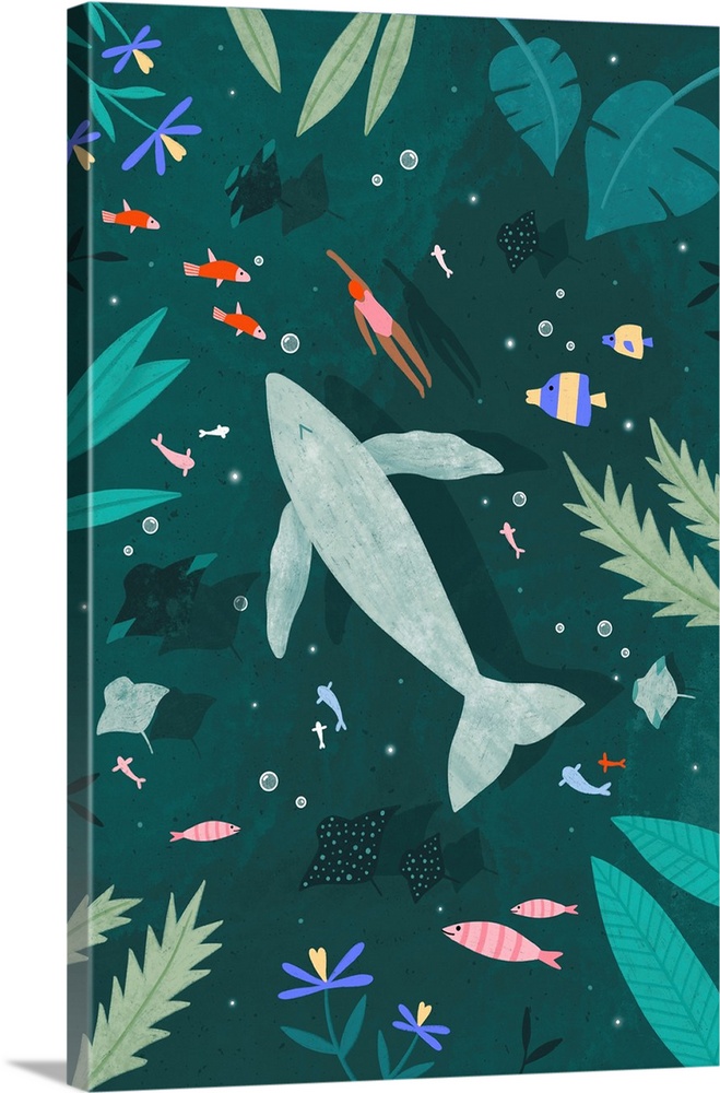 Swimming With A Whale