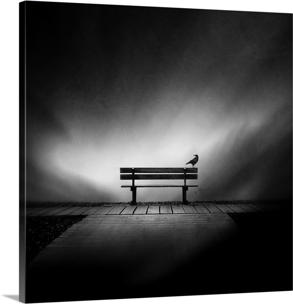 Conceptual image of a crow perched on a bench, symbolizing the passage of time while we all head towards the same end.