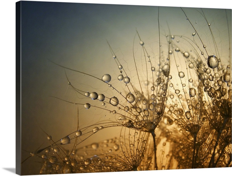 Tender Is The Night Wall Art, Canvas Prints, Framed Prints, Wall Peels