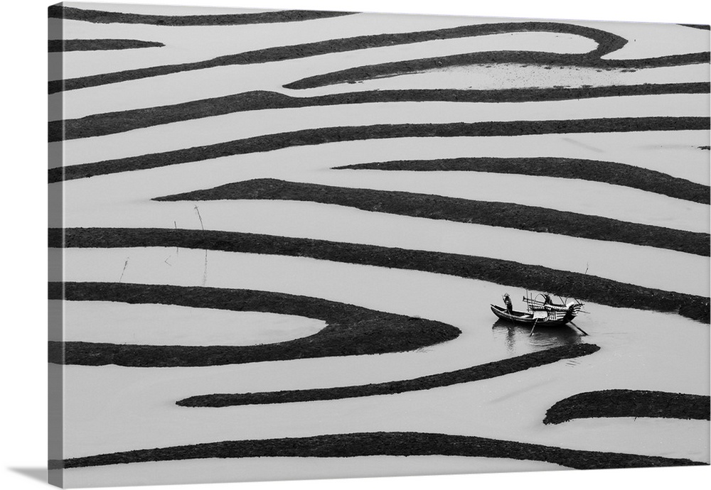 A boat weaving through the maze-like landscape of flooded farmland.