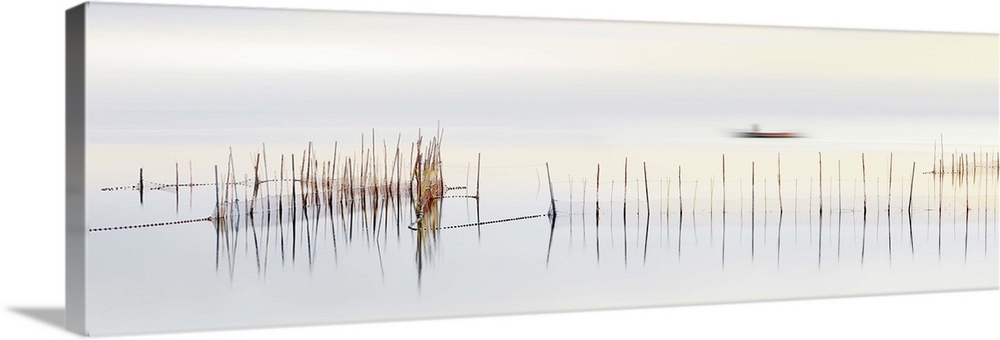 Long exposure of reeds in a pond with a  boat traveling along the water.