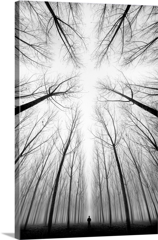 The Cross Wall Art, Canvas Prints, Framed Prints, Wall Peels Great