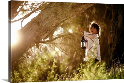 The Girl With The Blue Lantern