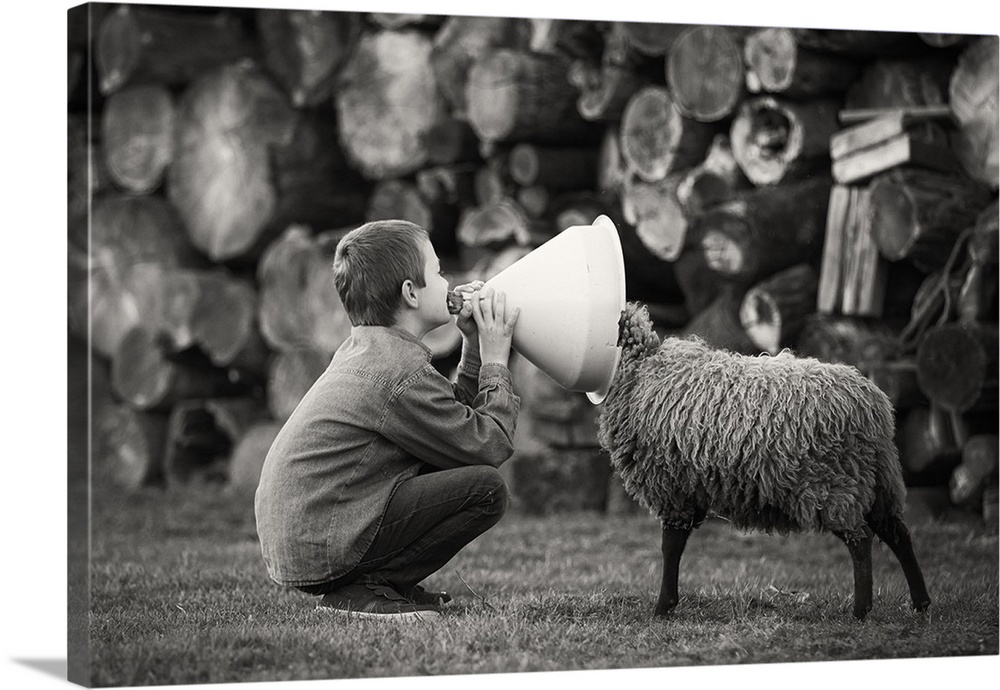 A black and white photograph of a child talking into funnel with a sheep poking its head into the other end.