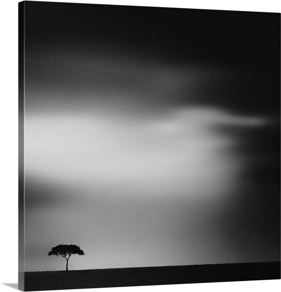 A lone tree stands strong in flat dark African Savannah landscape.