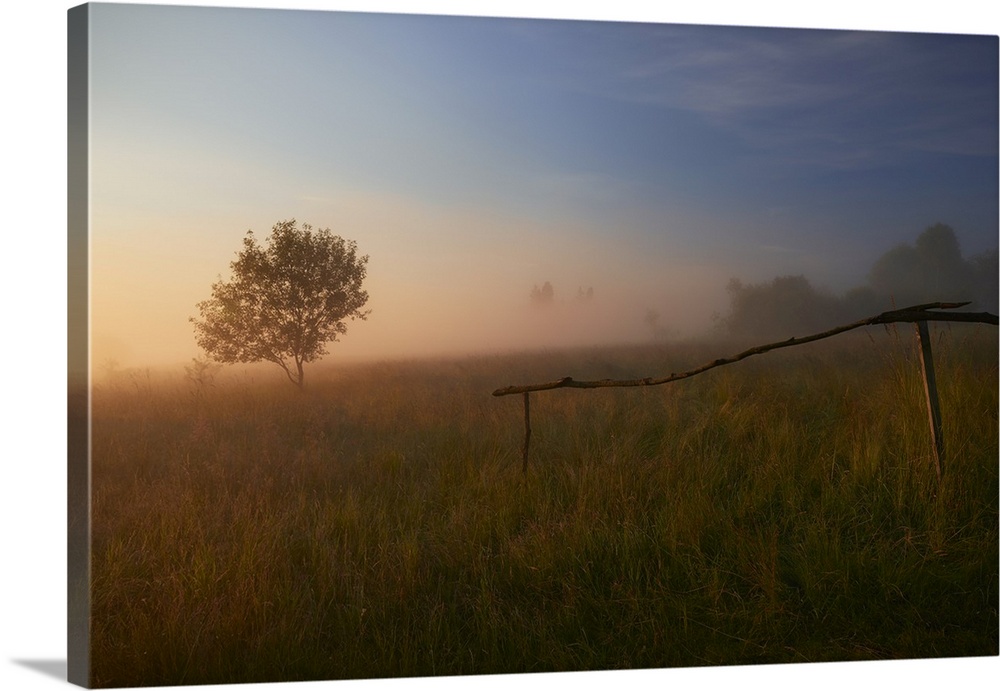 The Summer Field