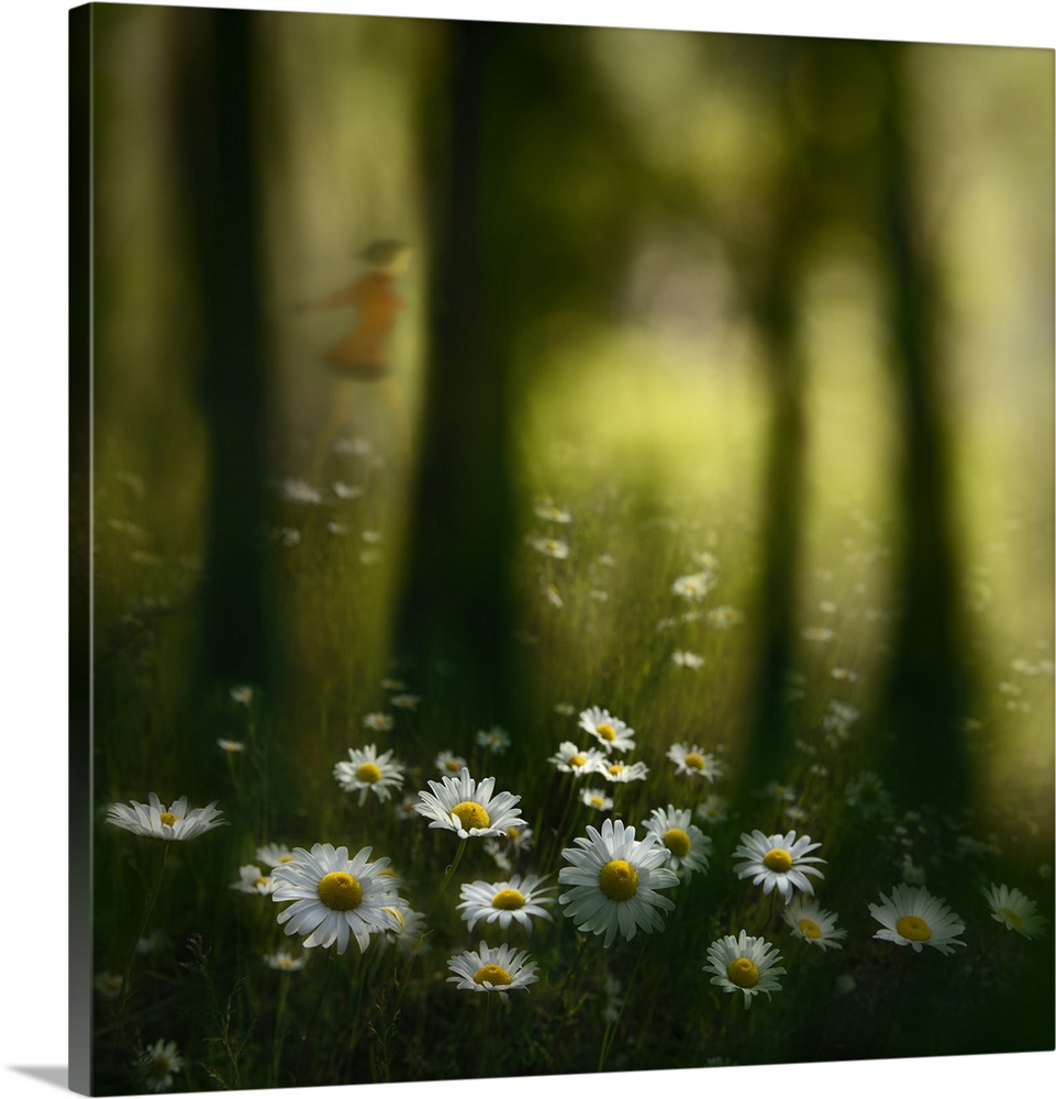 An abstract photograph of  girl frolicking through a flowery forest meadow.