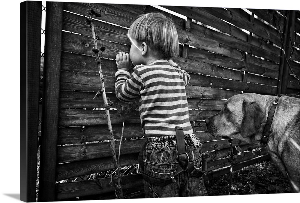 A little boy looks through the cracks of a wooden fence wall, with his dog standing guard behind him.