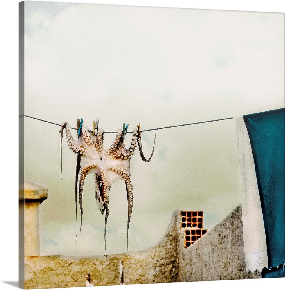An octopus hangs on a laundry drying line in a village.