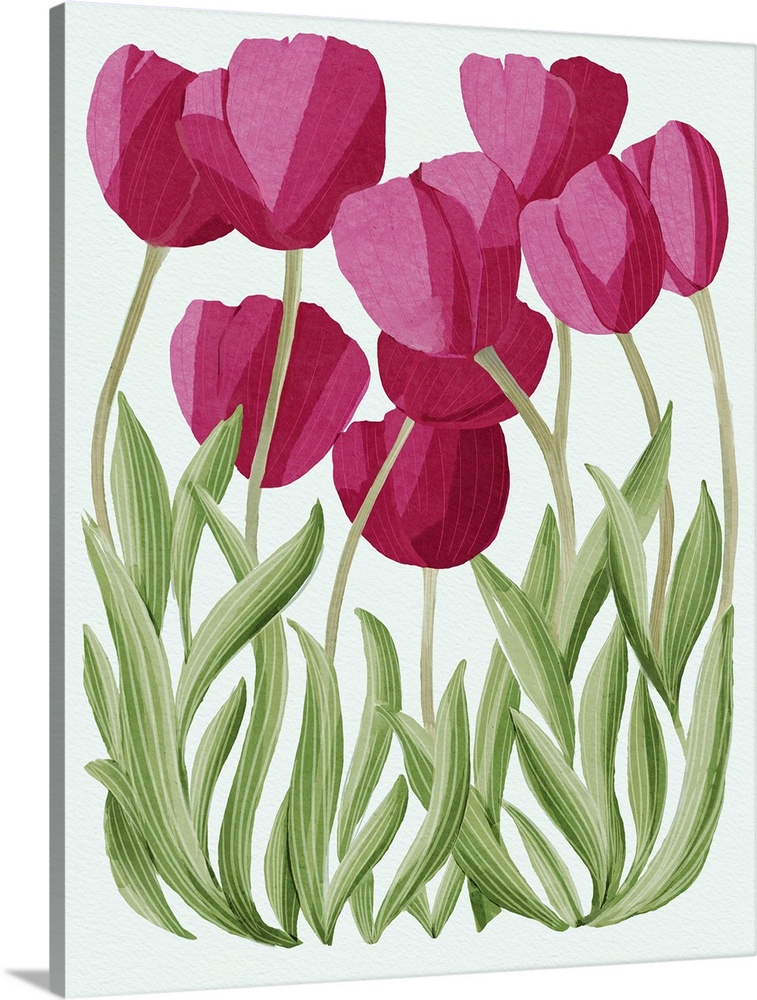 Tulips