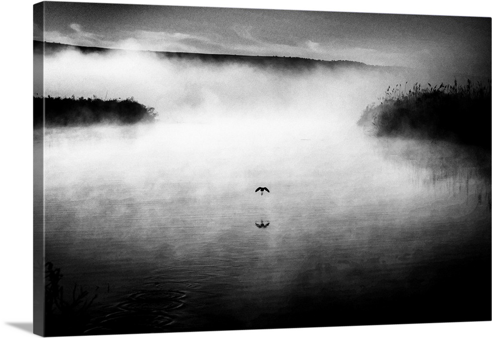 Black and white image of a bird flying low over a foggy lake.