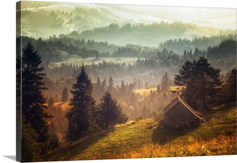 Untitled | Great Big Canvas