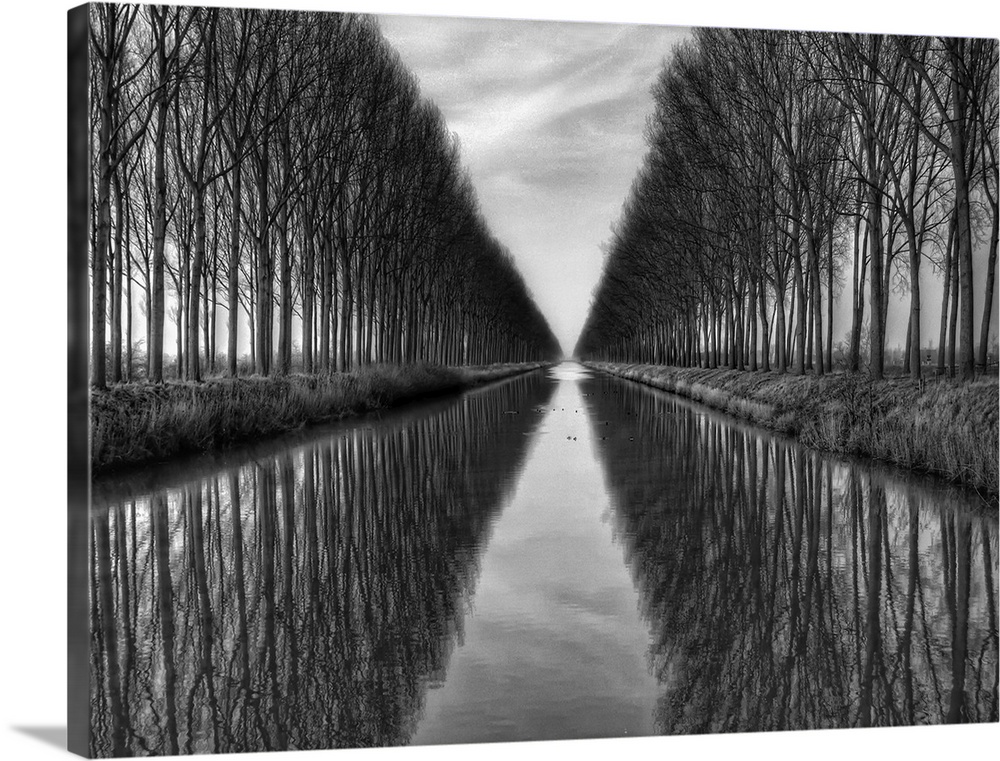 Black and white image of trees lining a canal in Belgium.