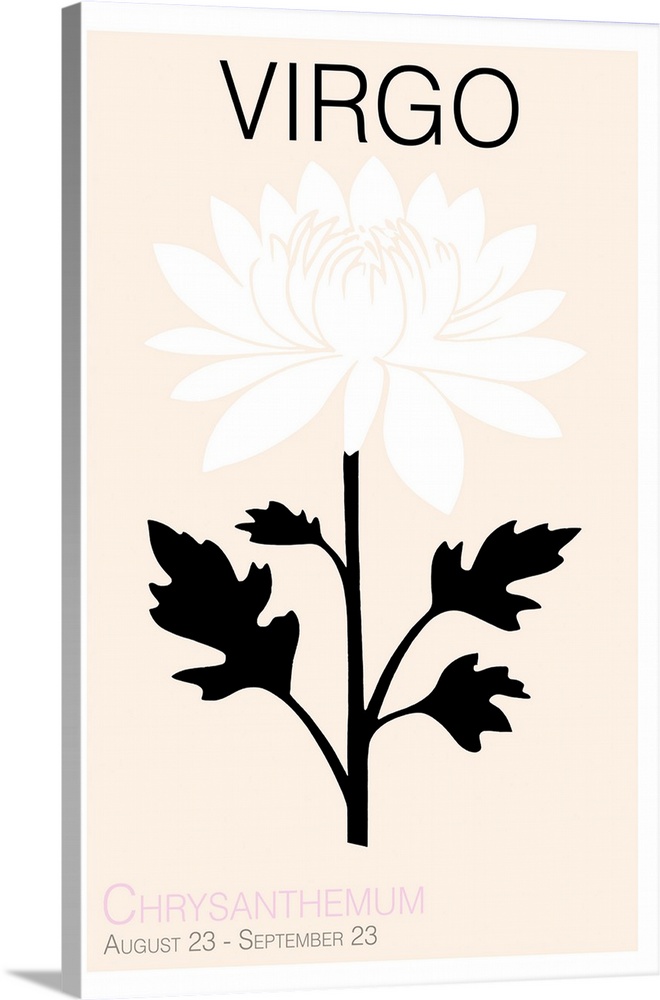 Virgo Chrysanthemum