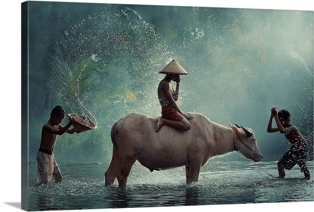 A boy sitting on a cow while other people splash water on them.