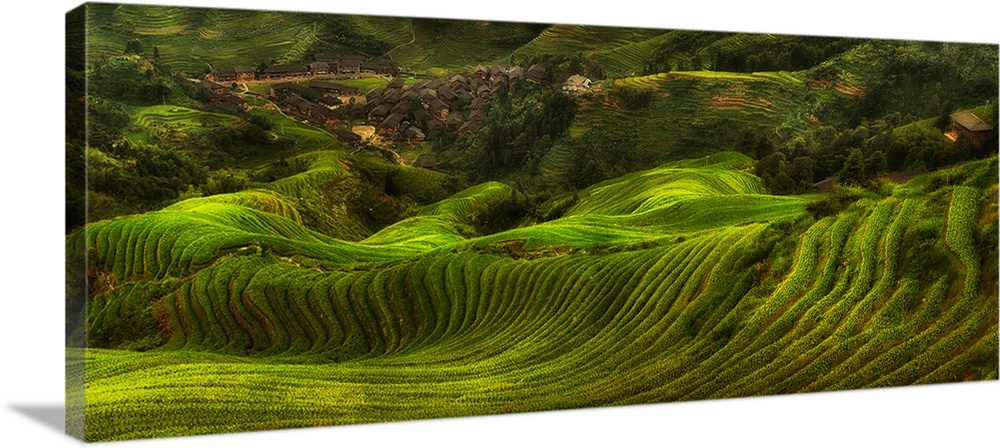 Terraced rice fields in Dazhai, China.