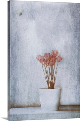 When Summer's Gone...