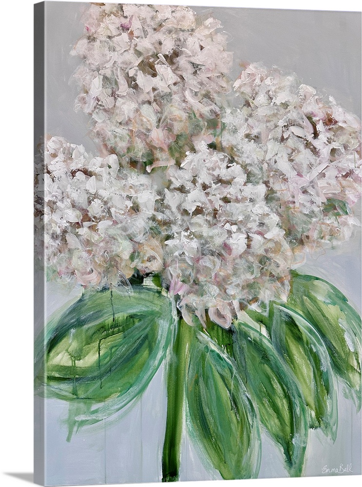 White Hydrangea Bloom