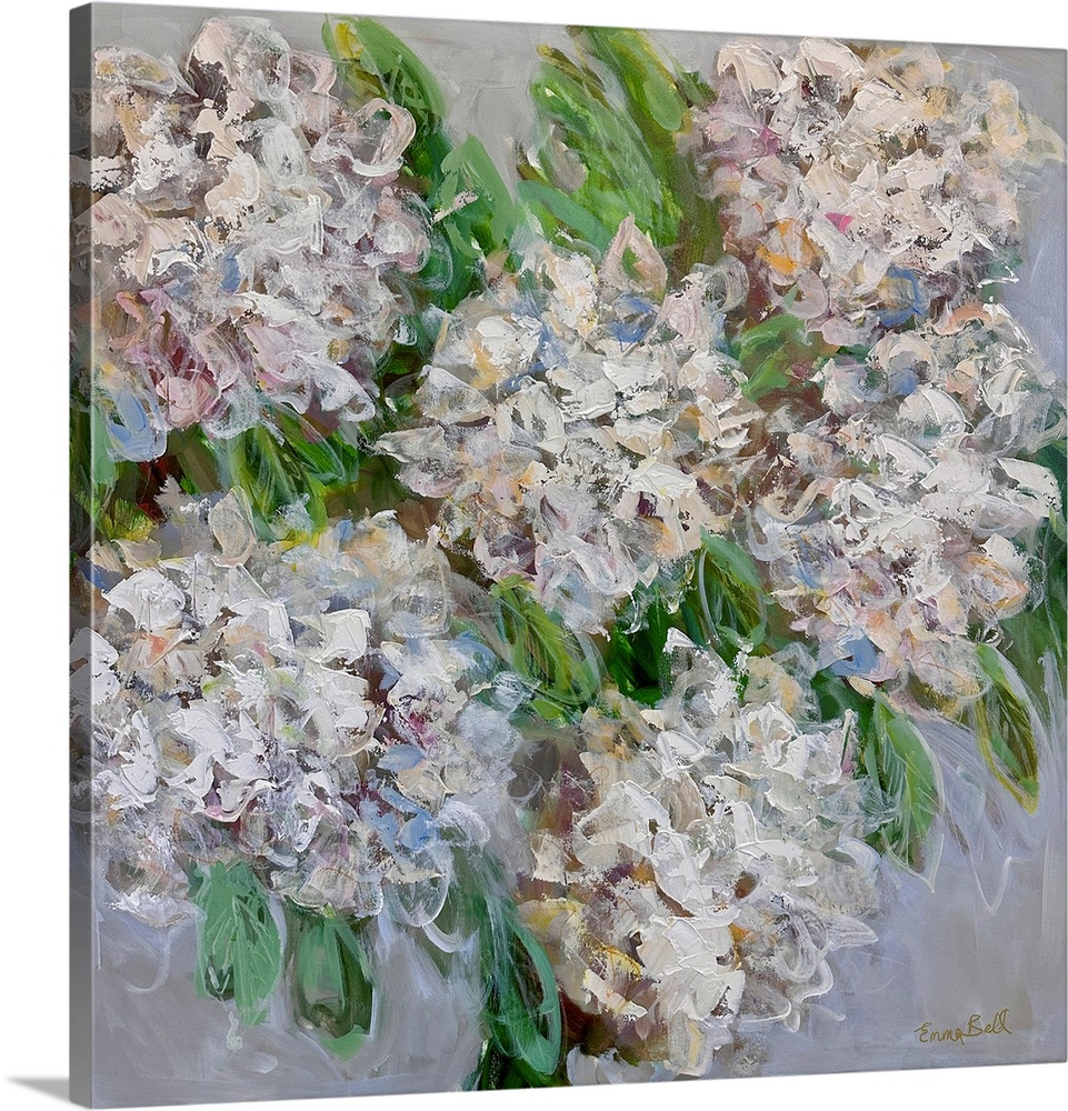 White Hydrangea Bloom