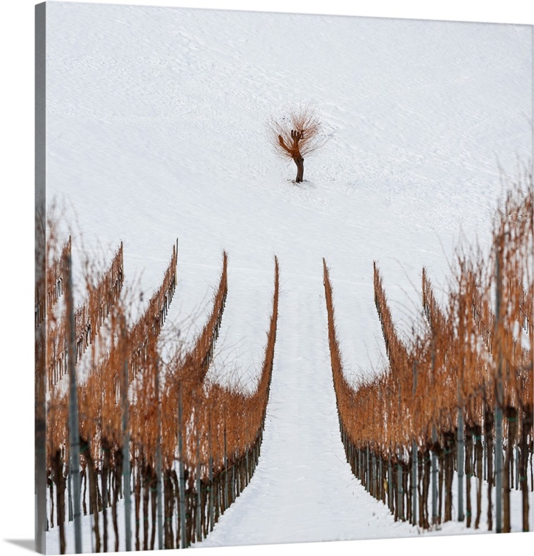 Winter | Great Big Canvas