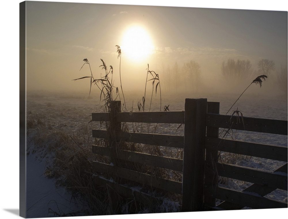 The winter sun shining on a fence in a farm field.