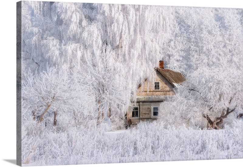Winter Tale | Great Big Canvas