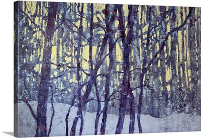 Winter's Silent Glow