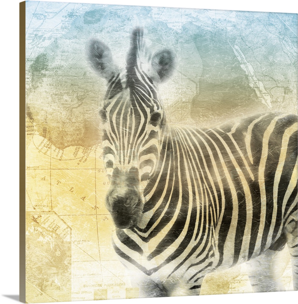 A heavily textured painting of a zebra on top of a map of Africa with cool tones at the top fading down to warm tones on t...
