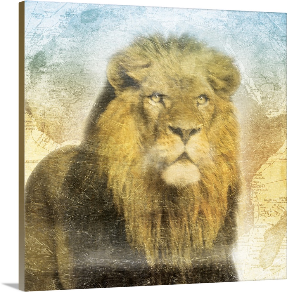 A heavily textured painting of a Lion on top of a map of Africa with cool tones at the top fading down to warm tones on th...