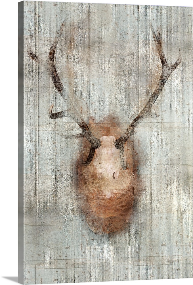 A mounted hunting trophy on a wall with a weathered texture.