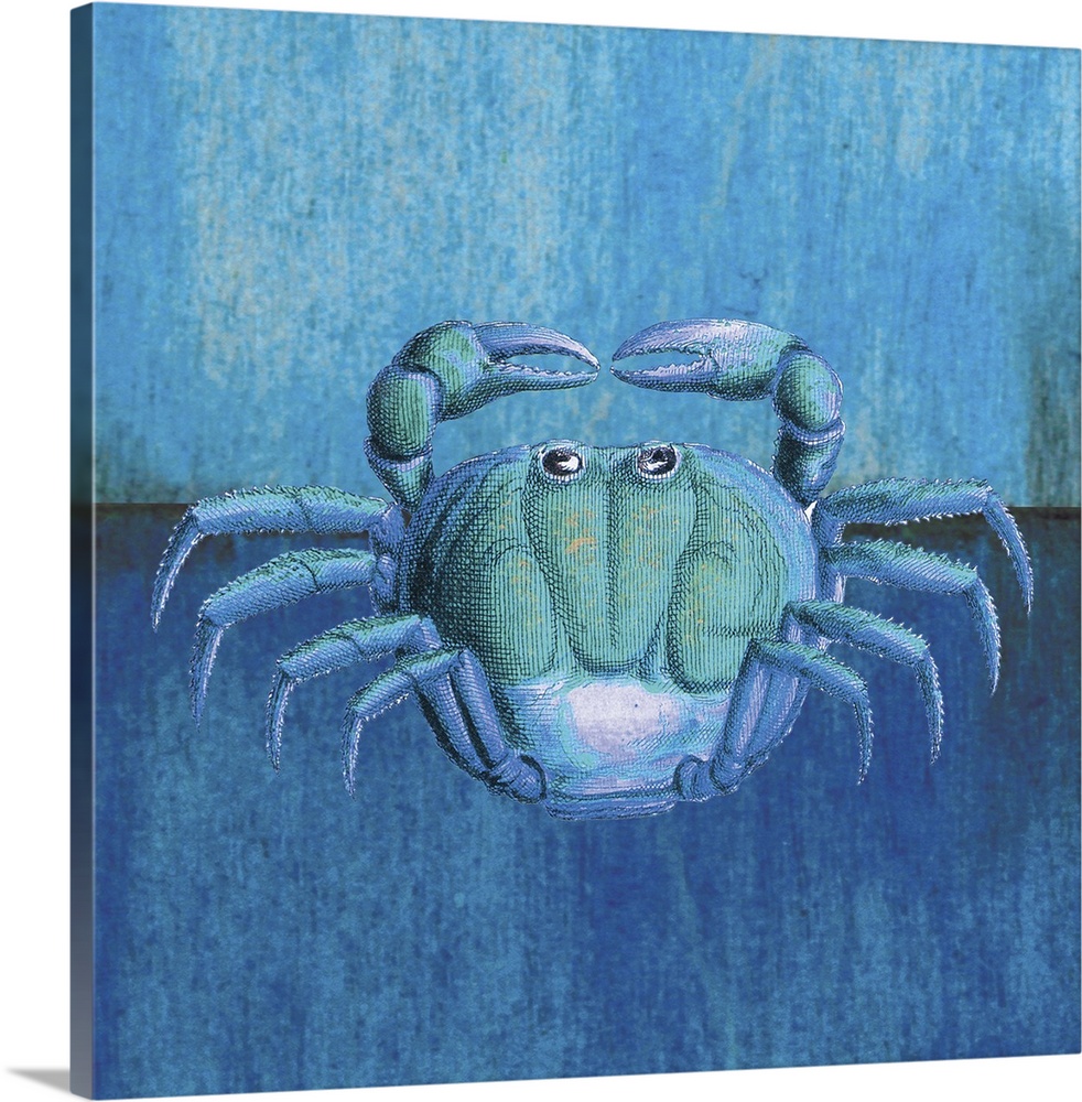 Blue Crab Wall Art Canvas Prints Framed Prints Wall Peels Great Big Canvas