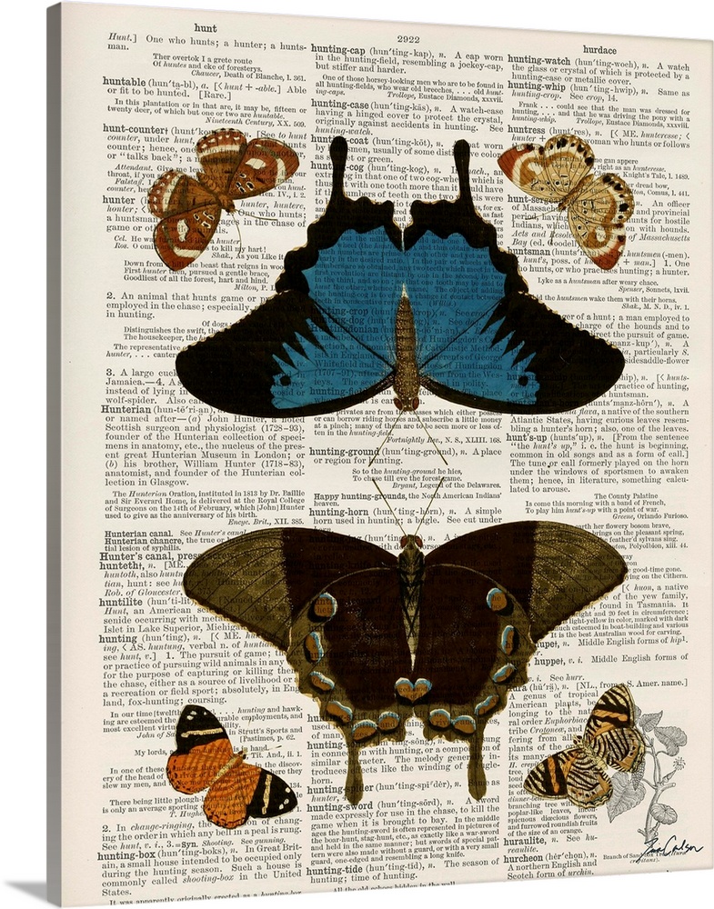 Contemporary artistic use of a page from a dictionary with a scientific illustration of butterflies on top of the text.