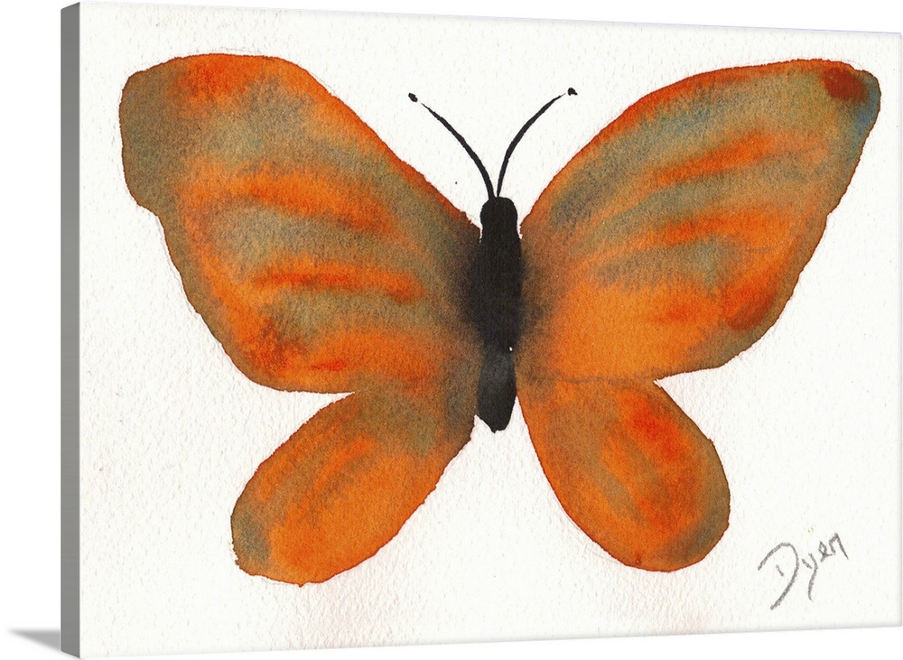 Watercolor painting of a butterfly against a white background.