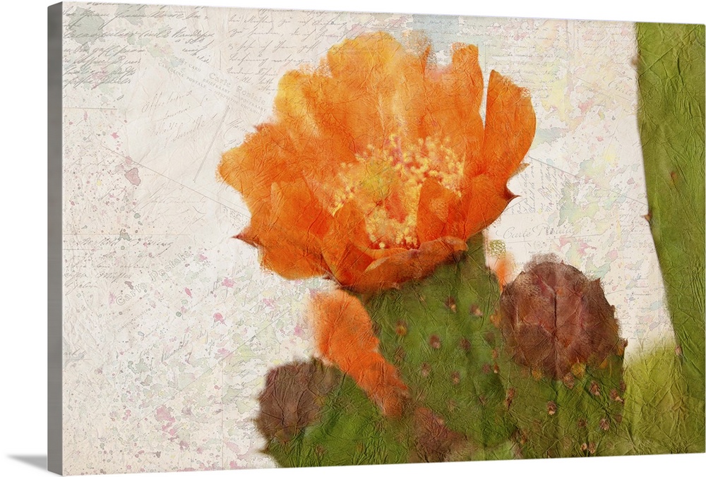 A watercolor painting of an orange cactus flower on a collage of handwritten postcards and colorful paint splatter.