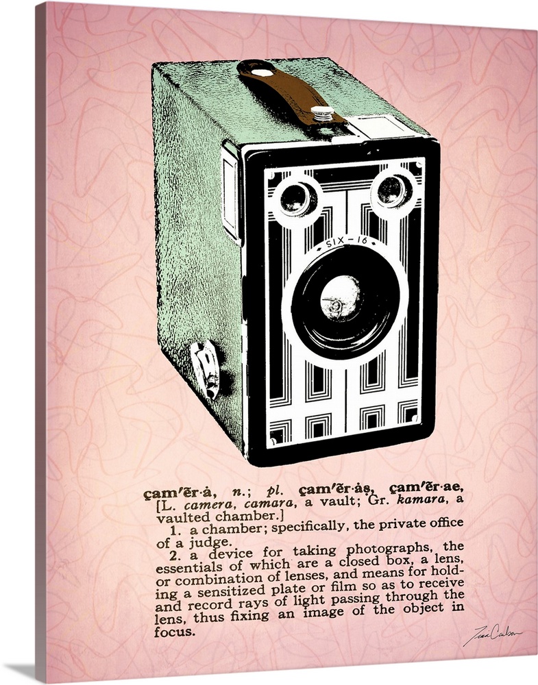 Retro-style illustration of a box camera with the dictionary definition below the image.