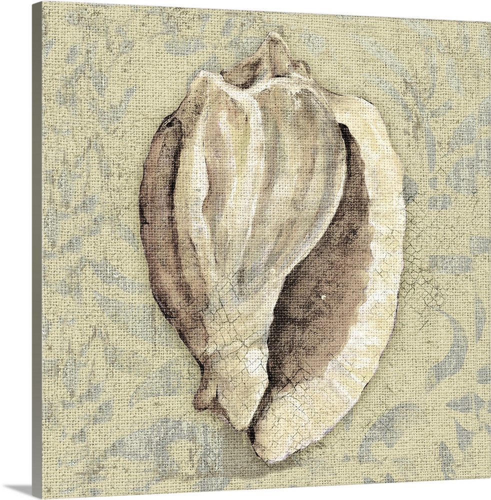 Artwork of a beige seashell against a cream colored background.